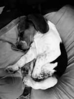 Yann ETIENNE - YANN ETIENNE PHOTOGRAPHE