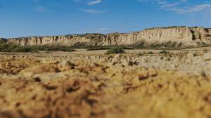 Noémy SMECICAS - SMECICAS NOEMY